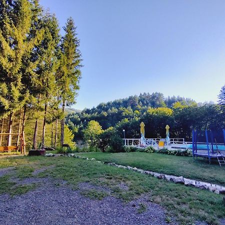 Hotel Cabana Cerbu Bozovici Esterno foto