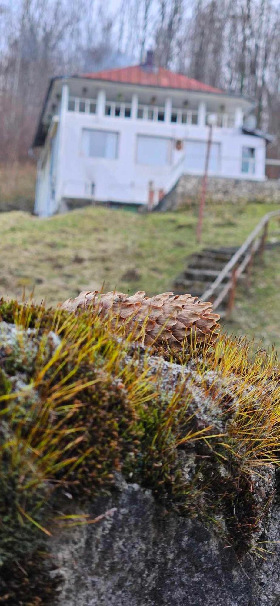 Cabana Cerbu Bozovici Esterno foto