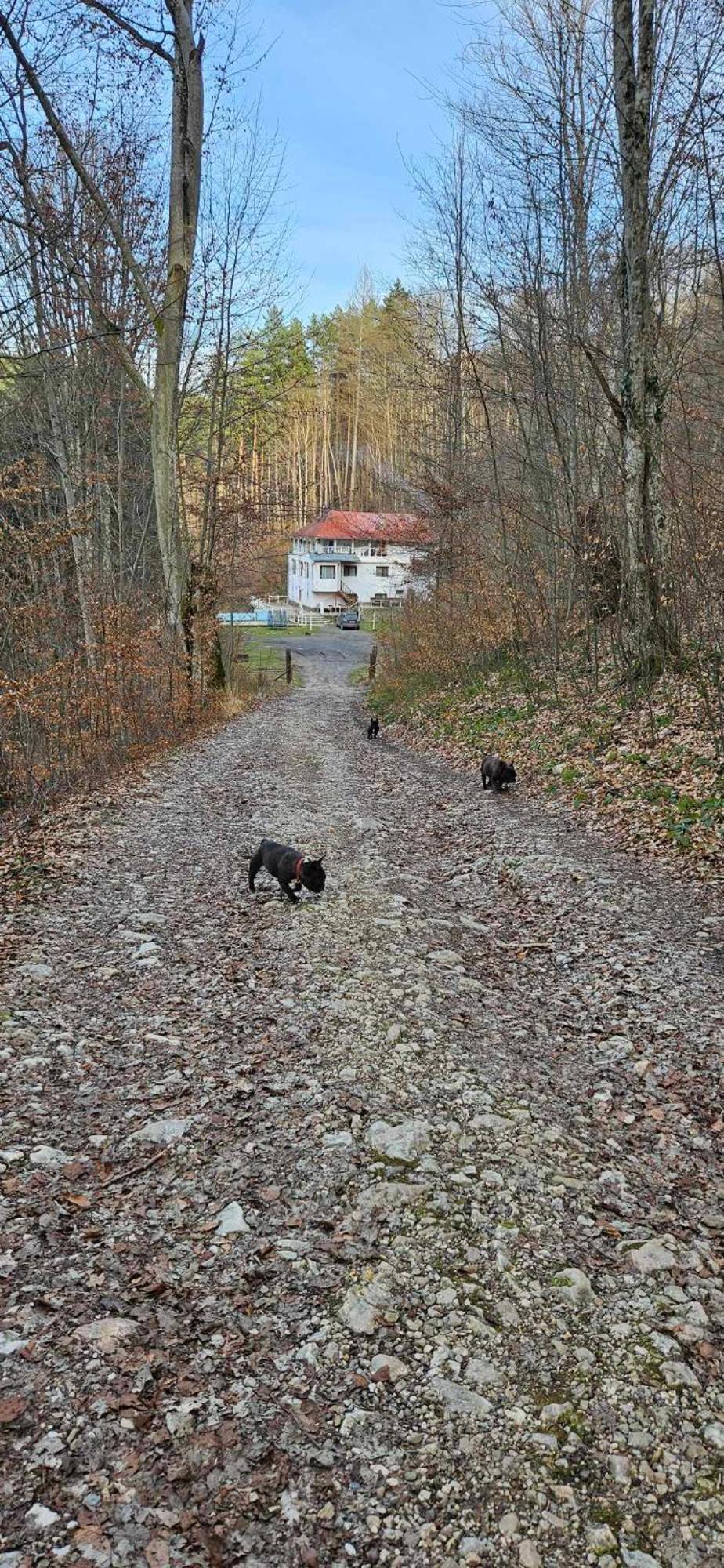 Hotel Cabana Cerbu Bozovici Esterno foto